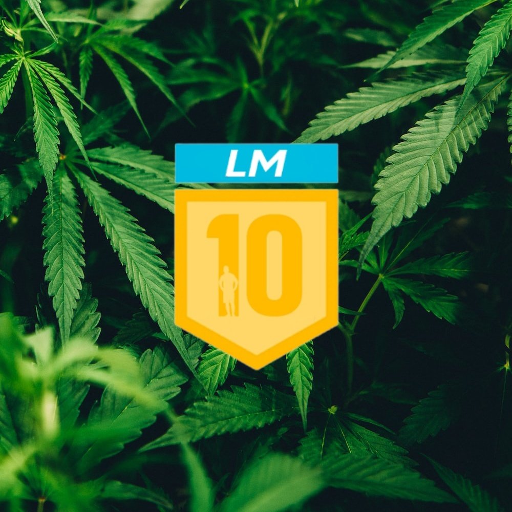 Bienvenido a lo más falopa de la liga <a href="/LigaLM10/">LM10</a>