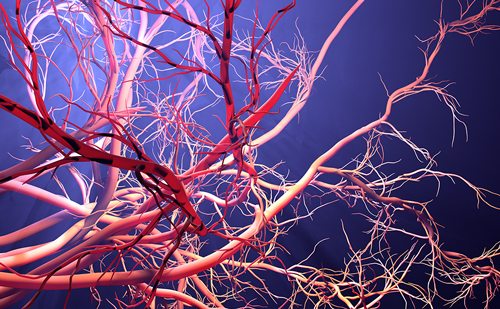 touchIMMUNOLOGY's tweet photo. Editorial: complement component inhibition for the treatment of ANCA-associated vasculitis? 

Read here: https://t.co/g1T4NL7QNf

#vasculitis #Complementinhibition #complement #editorial https://t.co/Xk38PbE1k3