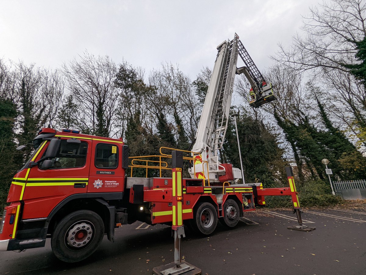 RSPCA Frontline on Twitter "Oh Gizmo! Stuck up a tree next to