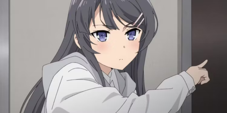 Mai Sakurajima (Rascal Does Not Dream Of Bunny Girl Senpai)