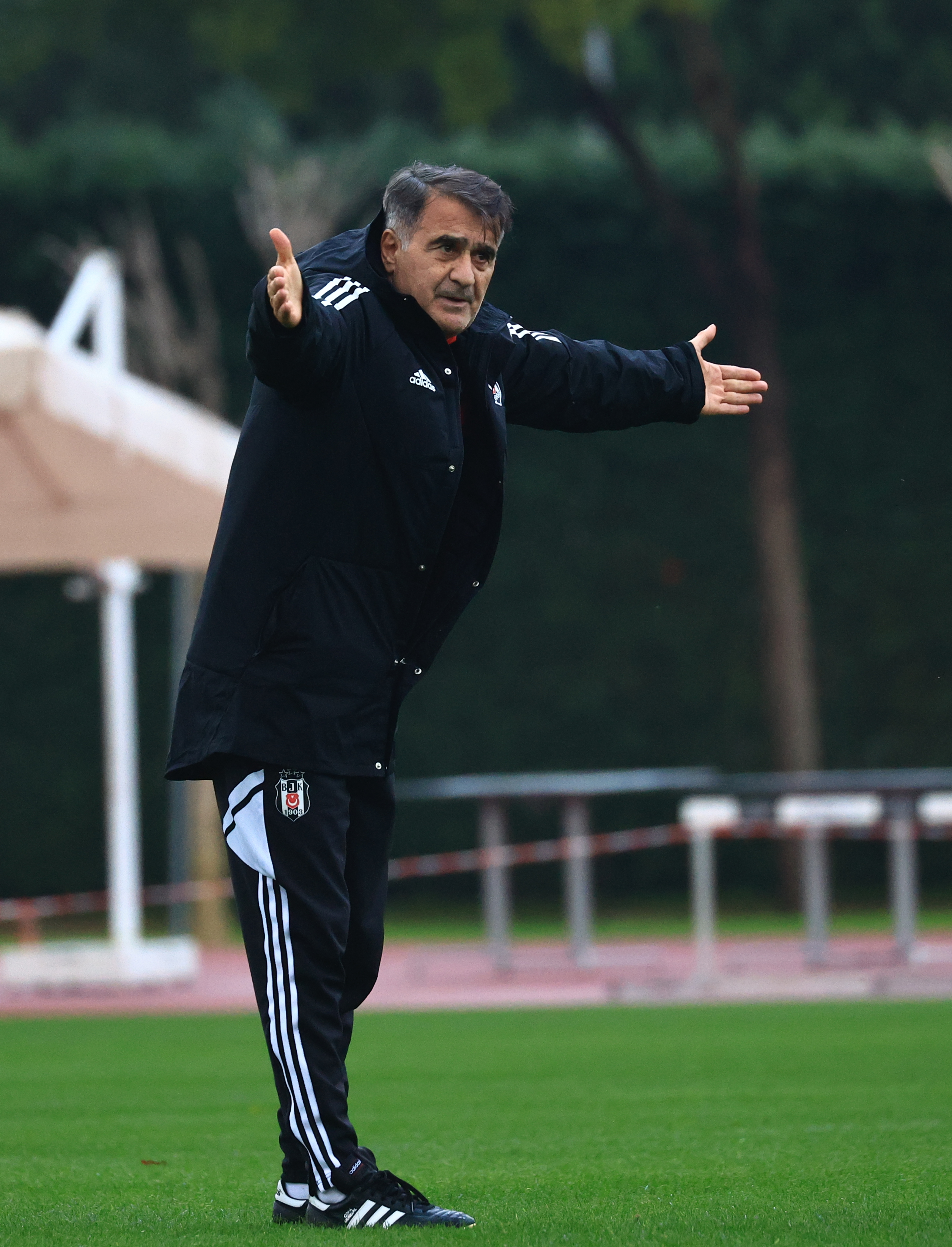 şenol güneş