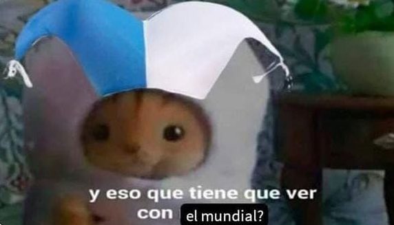 me preguntaron si estuve estudiando para el final!!!