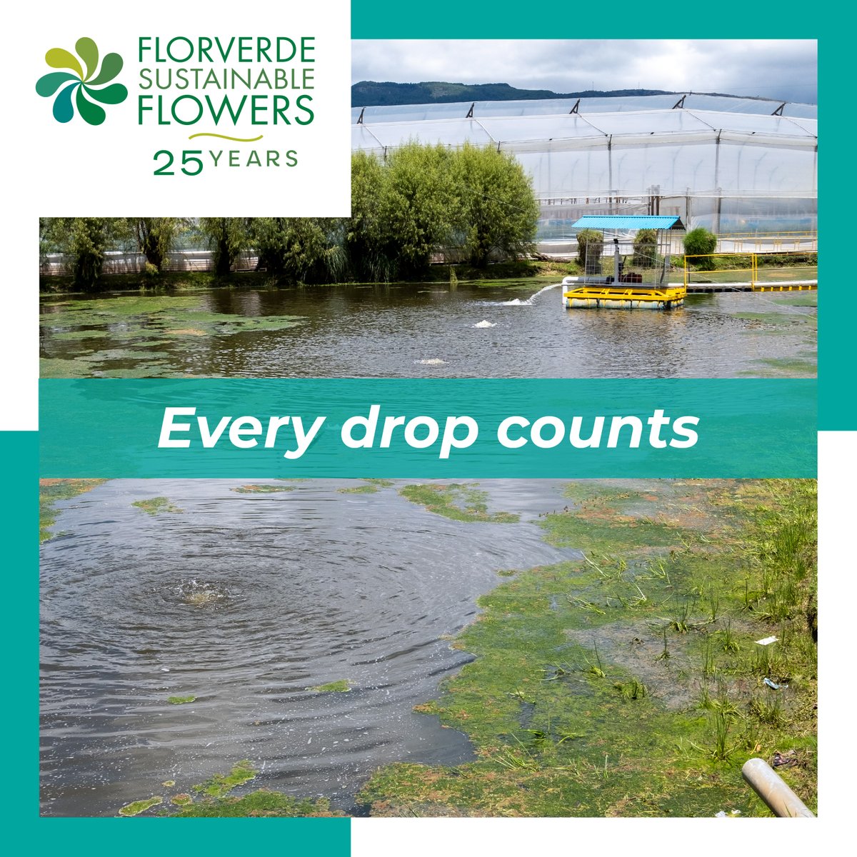 Florverde® tweet media