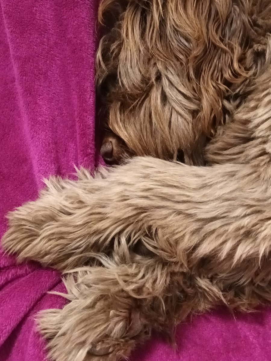 Pataki-Nagy Rita tweet media