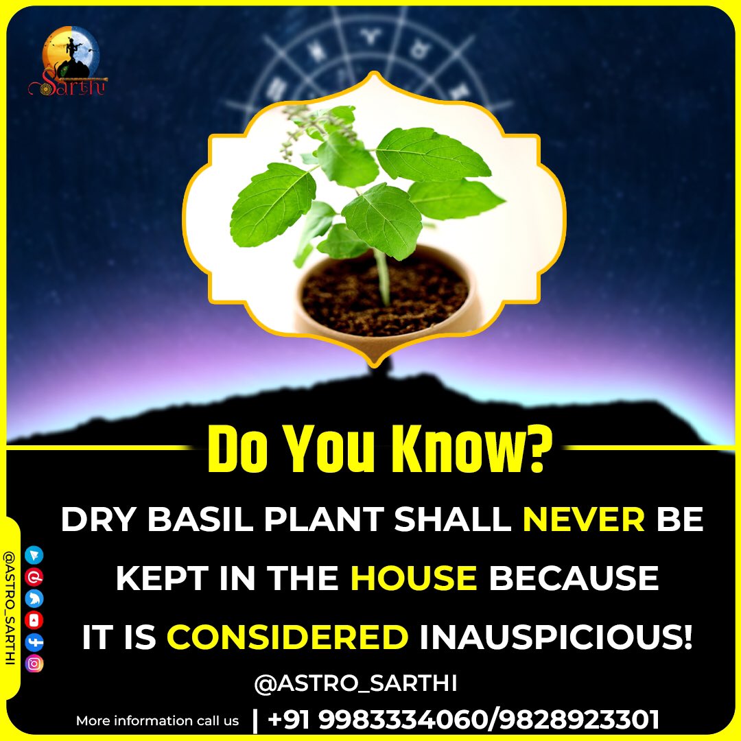 There's always a way to maintain Tulsi plant in the house, know everything about it through Astro Sarthi now!

#astrology #indianastrologer #astrologeronline #bestastrology #vastutips #peace #prosperity #homeatpeace #innerpeace #positivevibes #trendingastrologers