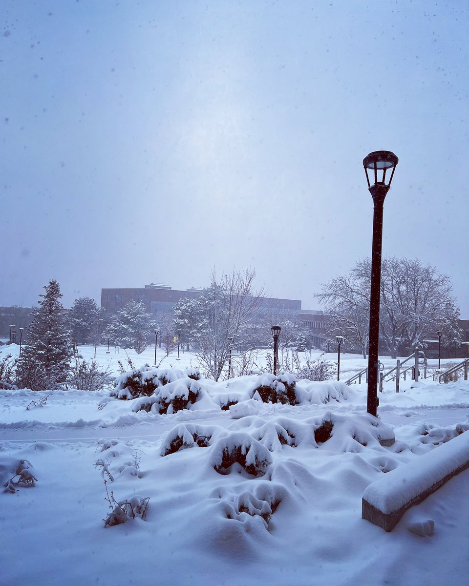 UofUHumanities's tweet photo. “Snow was falling,
so much like stars
filling the dark trees
that one could easily imagine
its reason for being was nothing more
than prettiness.”
― Mary Oliver https://t.co/KtIvCkhZZw