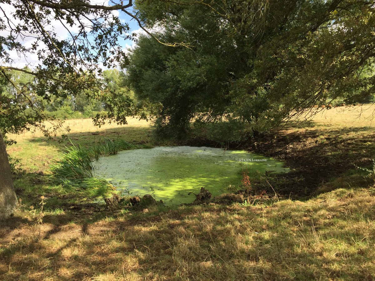 Alternance, compte officiel tweet media