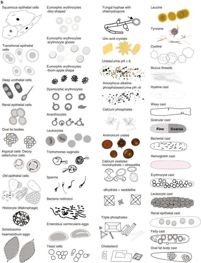 m, RMT 🧚‍♀️ tweet media