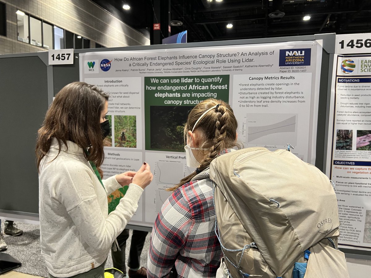 Visit poster 1457 to learn more about forest elephant impact on forest structure #AGU22