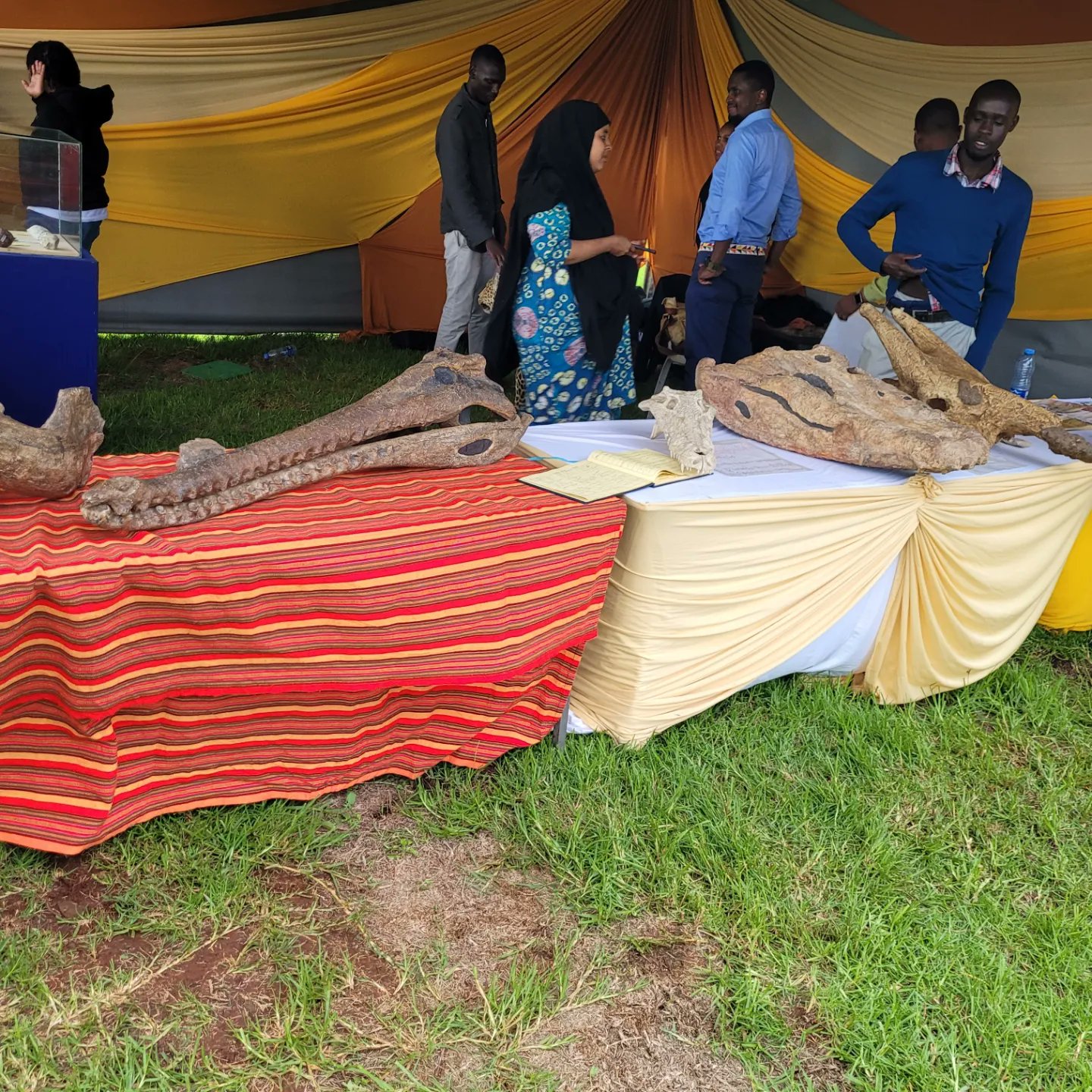 national-museums-of-kenya-museumsofkenya-twitter