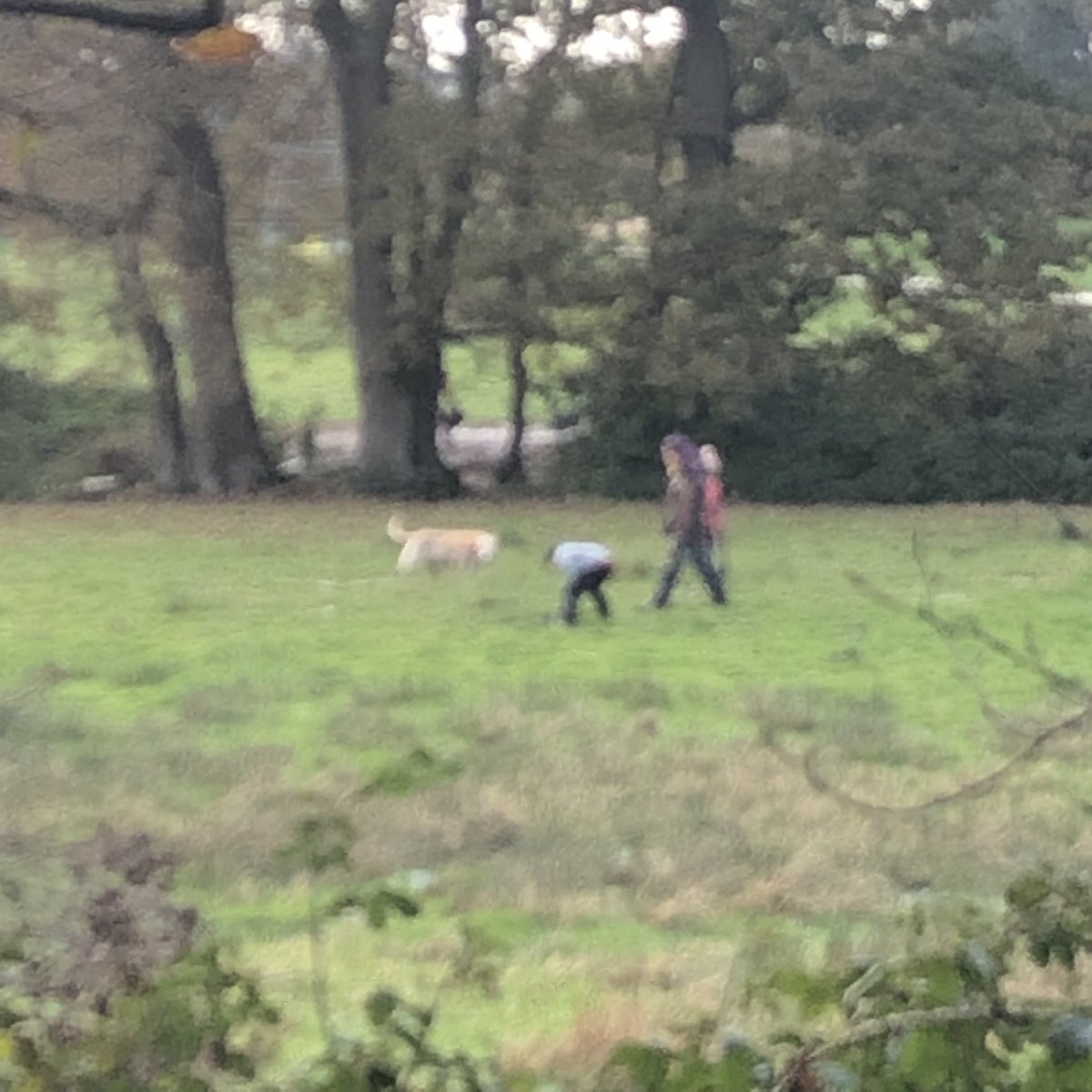 SharonNeal6's tweet photo. @dorsetpolice many witnesses saw a mother digging ice over water at Upton Country Park today. My photos are from seconds after they were over deep water onto marsh land. Mother should be fined or warned. Horrific. https://t.co/8cbDOywql2