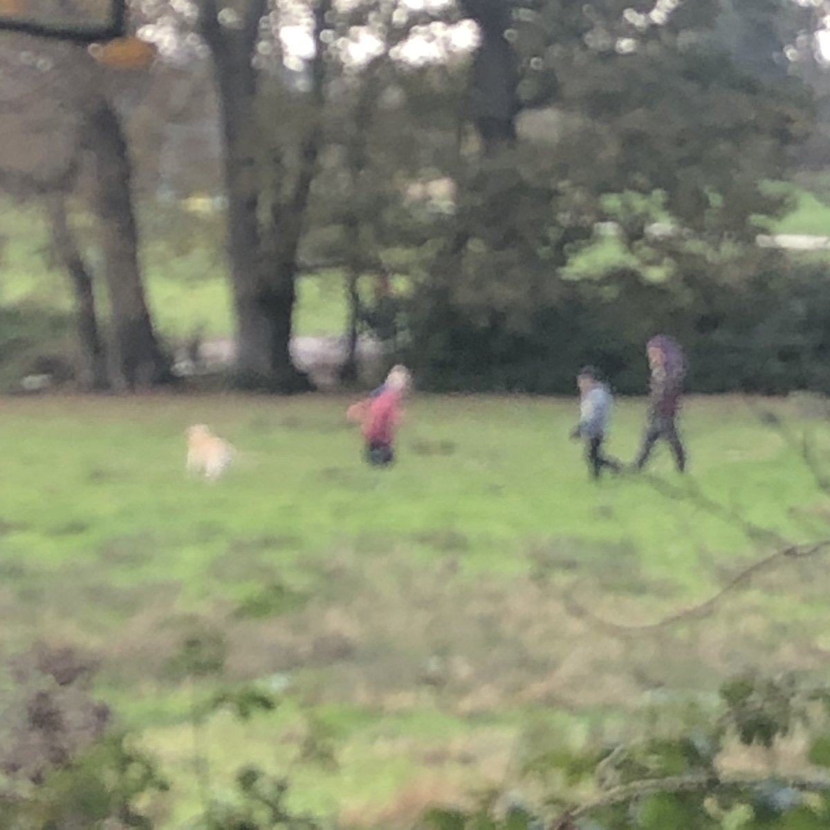 SharonNeal6's tweet photo. @dorsetpolice many witnesses saw a mother digging ice over water at Upton Country Park today. My photos are from seconds after they were over deep water onto marsh land. Mother should be fined or warned. Horrific. https://t.co/8cbDOywql2