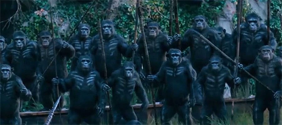 Las Vegas Ape🦍 tweet media