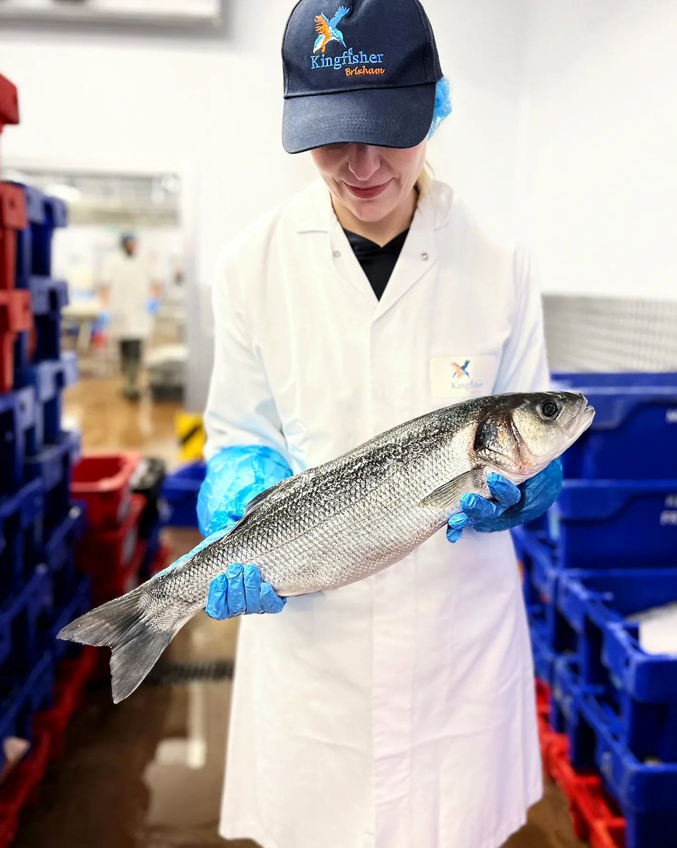 Here's our Account Manager Christina holding up today's fantastic landing of prime silver bars 🔥 ... an absolute treasure from the sea! #seabass