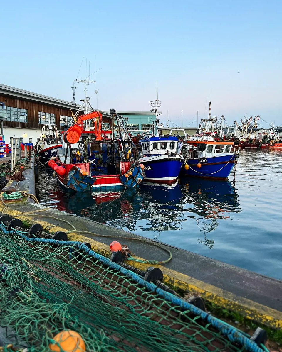 Our most favourite view on the planet 🌊 ... and we are lucky enough to see it every morning when we collect the finest South Coast fish for you lovely lot! #brixhamfishmarket