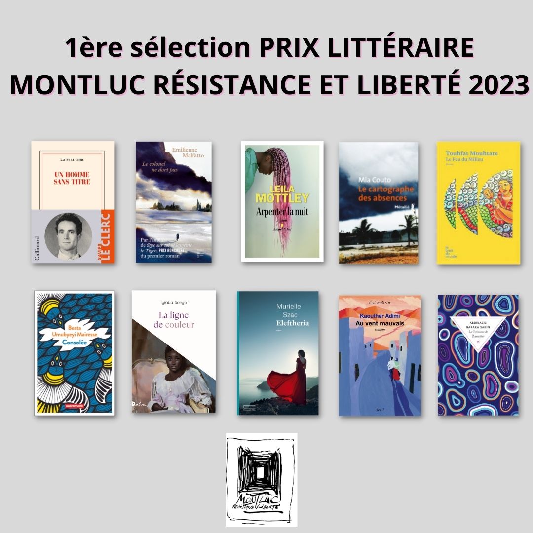 Notre 1ère sélection pour l'édition 2023 du Prix Montluc Résistance et Liberté !
#Resistance #liberte #bookstagram  #Livre #Roman #litterature