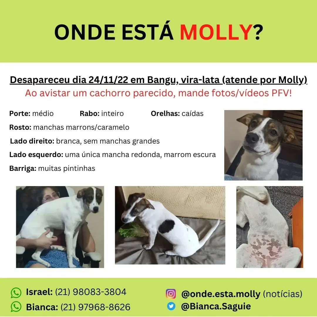 BiancaSaguie's tweet photo. Nos ajudem a encontrar a Molly, esteve dentro do trem ramal Santa Cruz em sentido central dia 25/11 #balancogeralrj https://t.co/WXxVP1ARgn