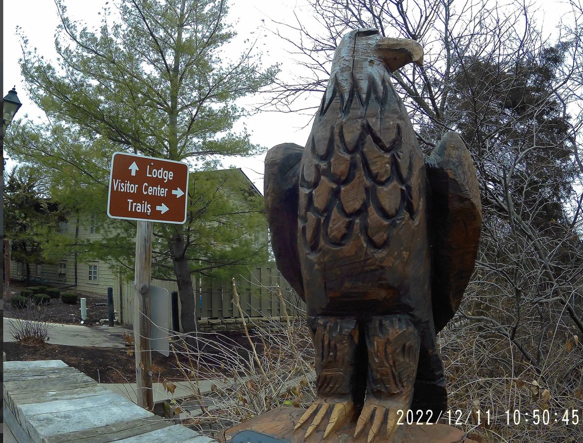 ChicagoAdvRider's tweet photo. Starved Rock is known for their Bald Eagles. Here’s a beautiful Carving. https://t.co/c4uATWZPc7