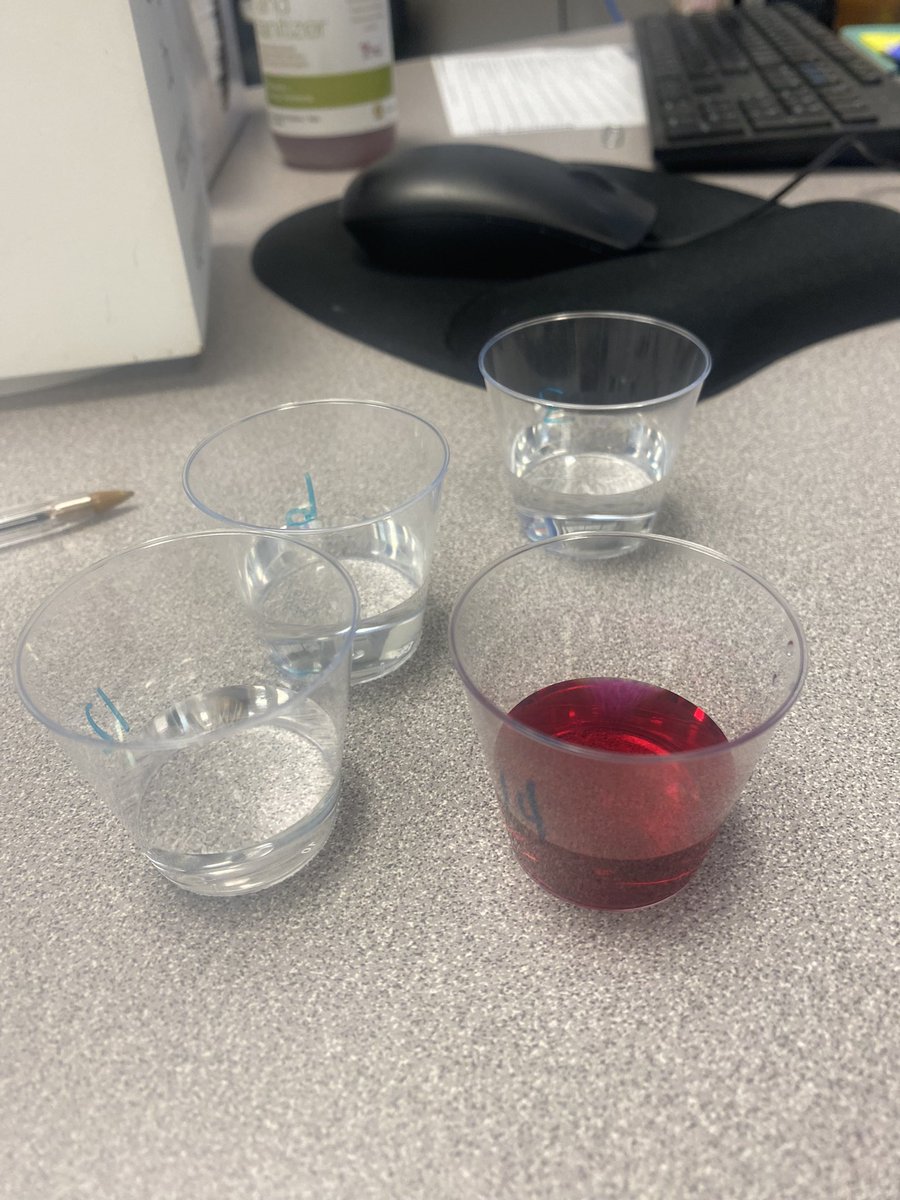 Sonya Tannreuther tweet media