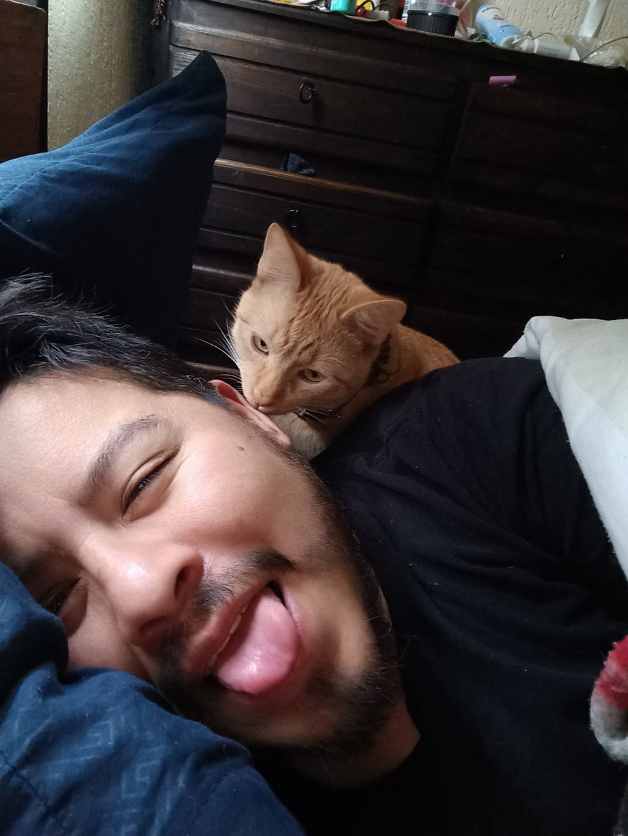 carlosduranoso1's tweet photo. Beshitosss!!
 #muffin #cat #macota #AdoptaNoCompres #gatito https://t.co/WJkAecxKRk