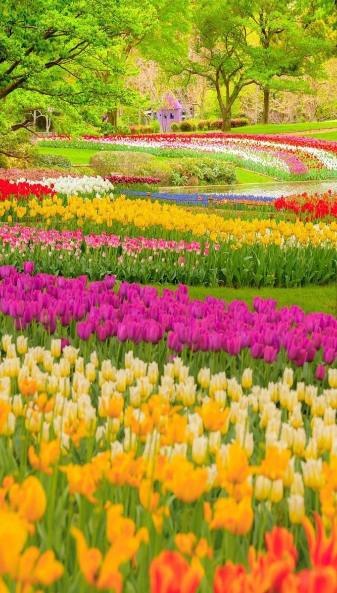 Laxman Sharma tweet media