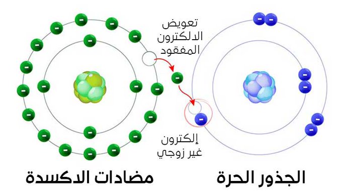 ( وان تصوموا خير لكم)

تعال اقولك شو بيصير بجسمك اذا قررت تترك السكريات والنشويات وقررت تعمل صيام مت...