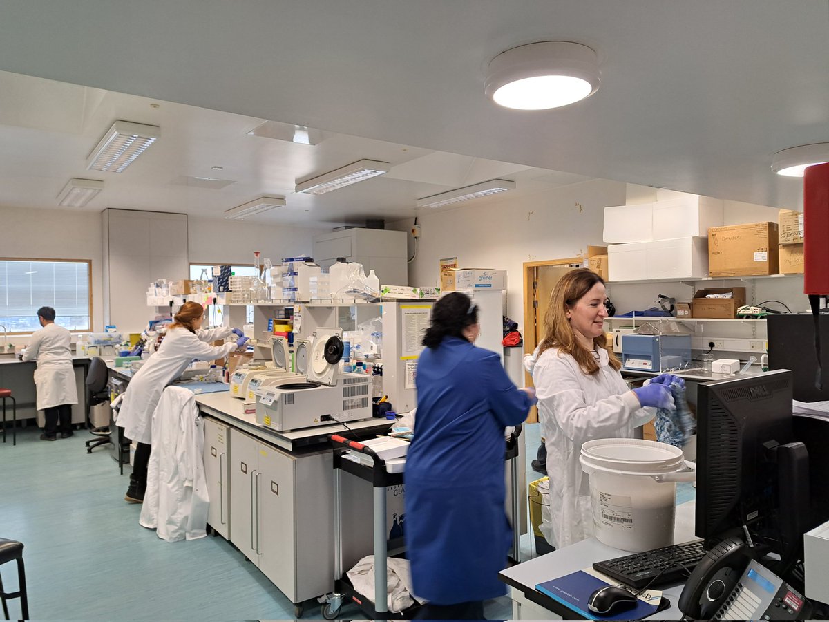 mdelibeg's tweet photo. Pre-Xmas lab clean up... Evidence that I helped out properly 😃 😃... 
🔬 
@AberdeenCDC @AbdnLifeScience https://t.co/tLnMIro6QA