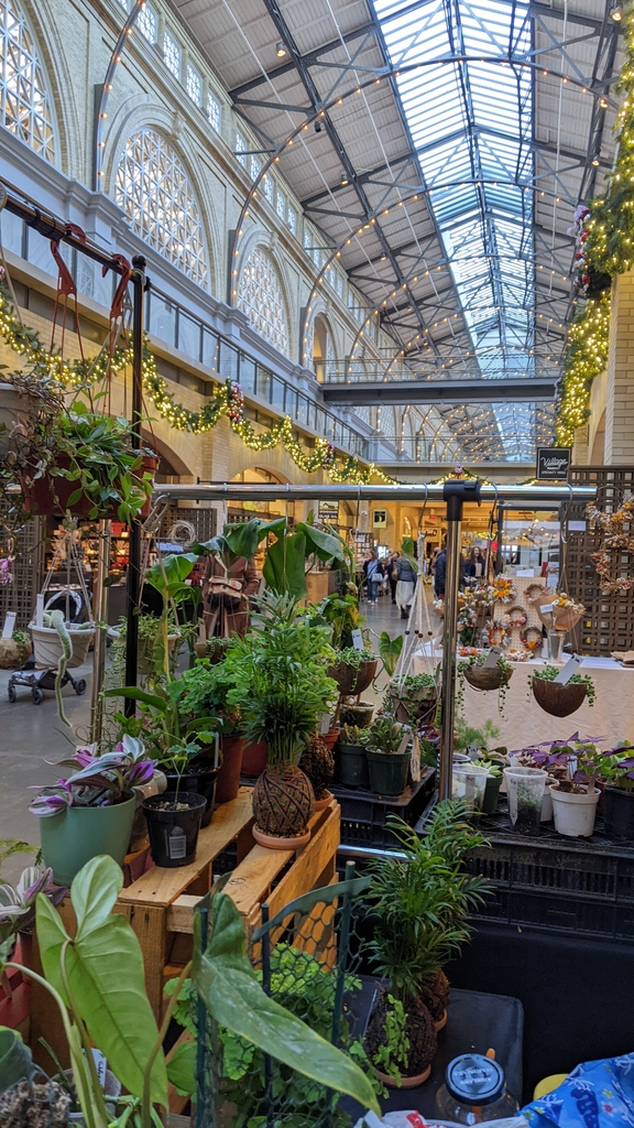 It's 🎄Gardeneur FINAL Holiday Pop-up Weekend at @ferrybuilding! Stop by and shop local from: @Casaplants @Floralbygrace @Thebeautybohemian @Lunariafarms @Plantbaybe Macbychrys

Gardeneur Holiday Pop-Up | SF Ferry Building
Dec 9-10
Friday | 10a-5p
Saturday | 9a-4p
Sunday | 10a-4p