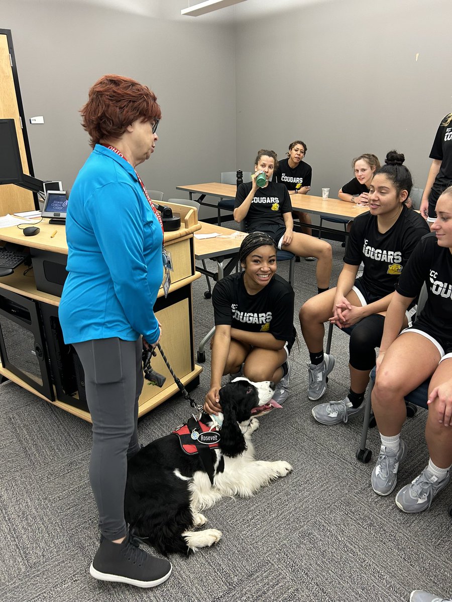 KarrieRedeker's tweet photo. .@ICC_CougarsWBB had a great visit with Roosevelt the therapy dog (&amp; owner Pat) after practice today 🐕‍🦺🐾 https://t.co/iikbIhY3bi