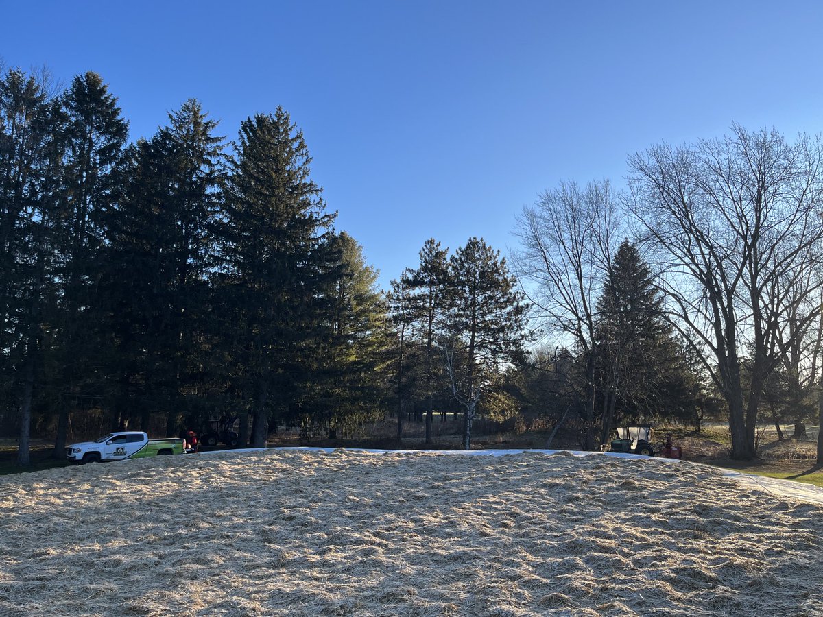 iborngenest's tweet photo. Before and after 4 big red pines are gone! For better morning sunshine @USGAGrnSection #moresun #bettergrow https://t.co/9TAJEdnR0W