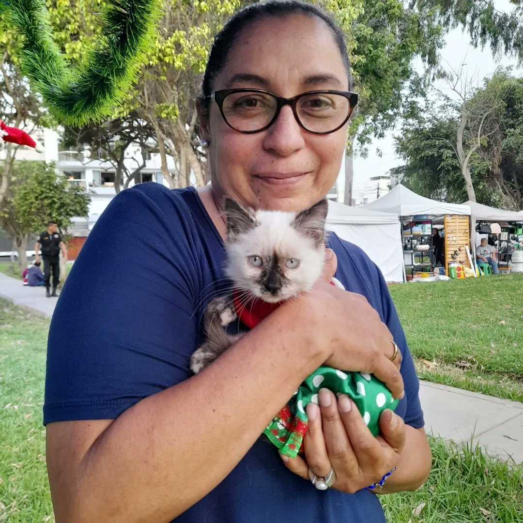 ASF_Prensa's tweet photo. Les compartimos imágenes de #LaCasaDePetNoel 🐾🎅🏼 , evento que realizamos el pasado sábado 10 y domingo 11, junto a la Municipalidad de Surco. 🙌🏼
Gracias a todas los emprendedores, marcas y público que participó. 😄 https://t.co/zBb6xQVzIv