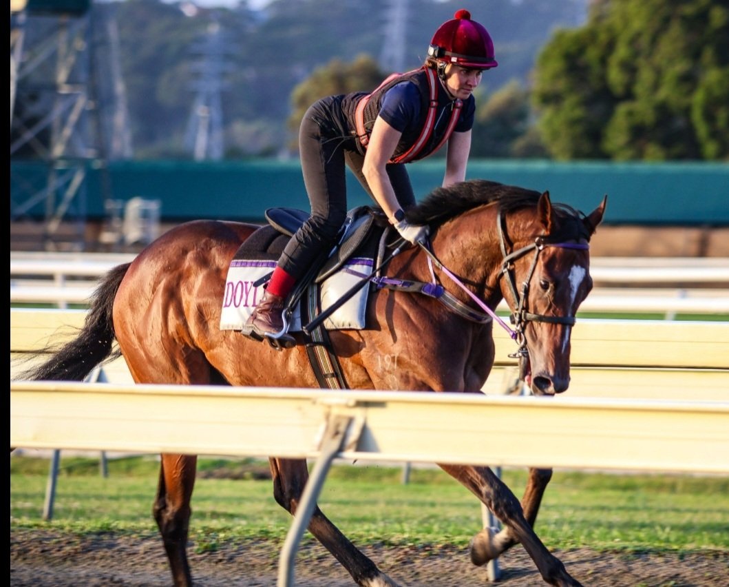 ndoyleracing's tweet photo. Doyle Racing have one runner today at @WyongRaceClub 

Race 7 at 5.15pm
⭐️REVIVALIST⭐️
@KobyJennings 60kg
Barrier 3

Best of luck to the connections!🤞🐎

Track rated a good 4🍃 

@WoolhouseTB
@SkyRacingAU
📸 Kate Blay https://t.co/RwHFkF8htI