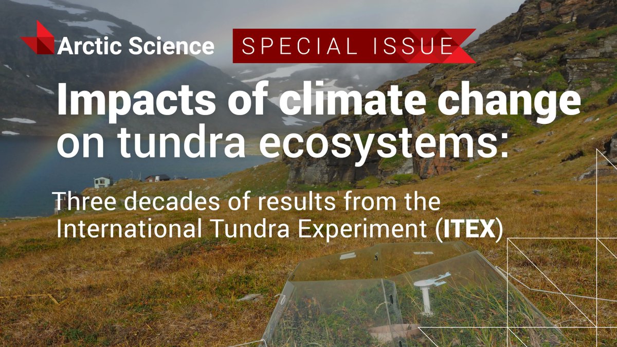 Arctic Science Journal (@arcticsciencej) on Twitter photo 🍃 Leaf toughness
🦠 Soil microbes
🦟 Insect visitors
🌨️ Snowmelt timing
A new #OpenAccess special issue in <a href="/ArcticScienceJ/">Arctic Science Journal</a> reports how a warming #Arctic is changing #tundra ecosystems. Learn more at buff.ly/3GvpoJI 🍃 Leaf toughness
🦠 Soil microbes
🦟 Insect visitors
🌨️ Snowmelt timing
A new #OpenAccess special issue in <a href="/ArcticScienceJ/">Arctic Science Journal</a> reports how a warming #Arctic is changing #tundra ecosystems. Learn more at buff.ly/3GvpoJI