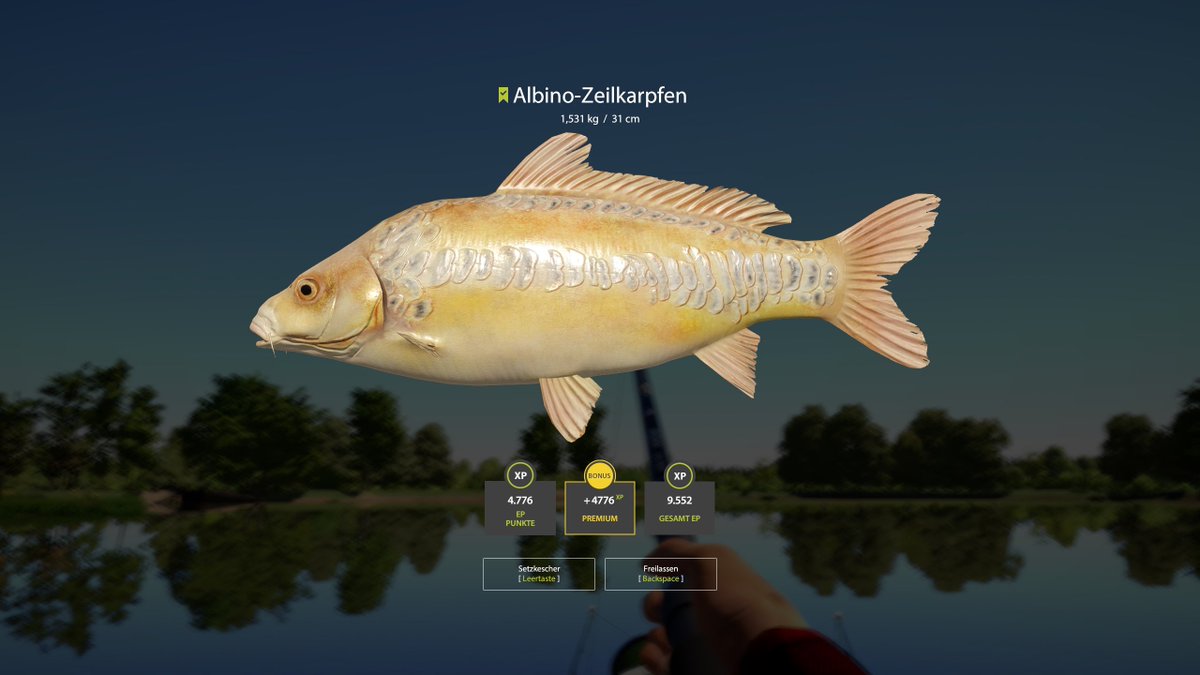 beelzebub_hh's tweet photo. Oh oh.. mein erster #Albino in #RF4. Ich freue mich sehr über diesen Fisch, auch wenn er kein Gewichtswunder ist. :-) #twitchde #russianfishing4 #rf4de #fishinggame https://t.co/ziFAeqNZAL