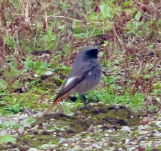 Jon Belcher tweet media