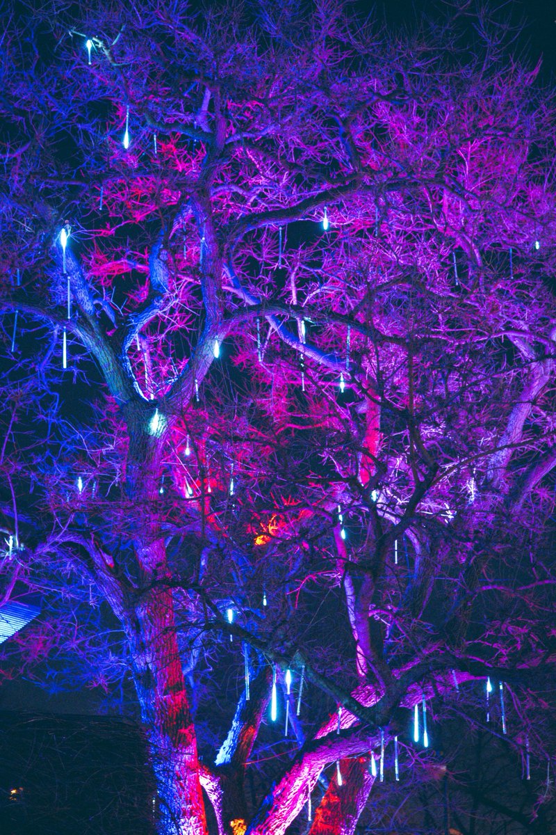 FPConservatory's tweet photo. Conservatory Aglow is a sight to behold! Have you planned your visit yet? These stunning shots were captured by @acircusoflight ✨
Presented by @AEPOhio with Lighting Partner Ahlum & Arbor Tree Preservation
#conservatoryaglow2022 #holidaylights #onlyincbus https://t.co/nN7tQR5Qs5
