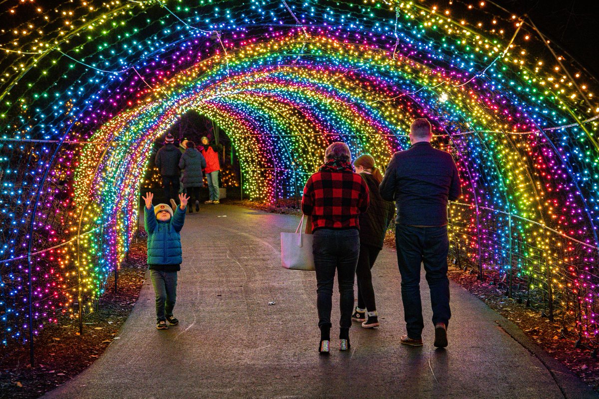 FPConservatory's tweet photo. Conservatory Aglow is a sight to behold! Have you planned your visit yet? These stunning shots were captured by @acircusoflight ✨
Presented by @AEPOhio with Lighting Partner Ahlum & Arbor Tree Preservation
#conservatoryaglow2022 #holidaylights #onlyincbus https://t.co/nN7tQR5Qs5