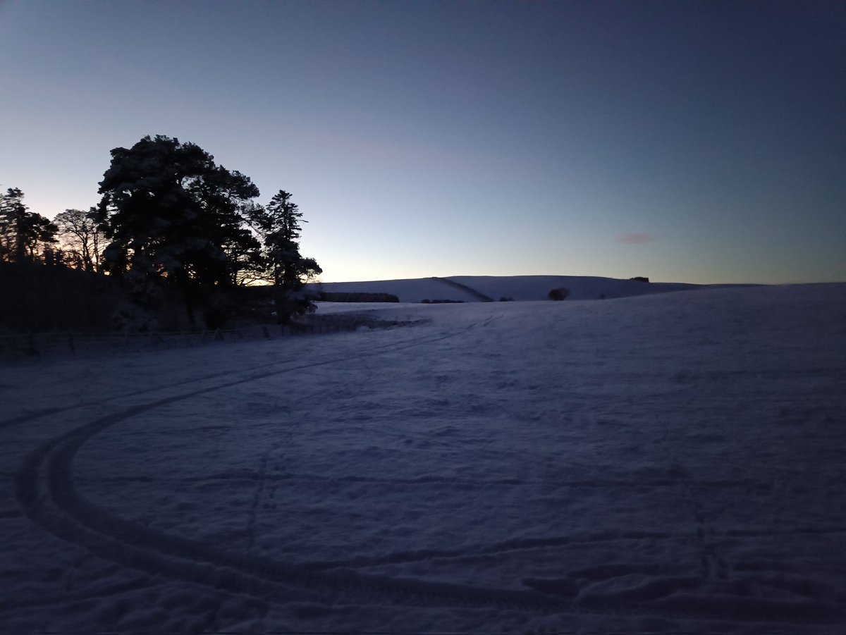 Emilio Pagani-Núñez tweet media