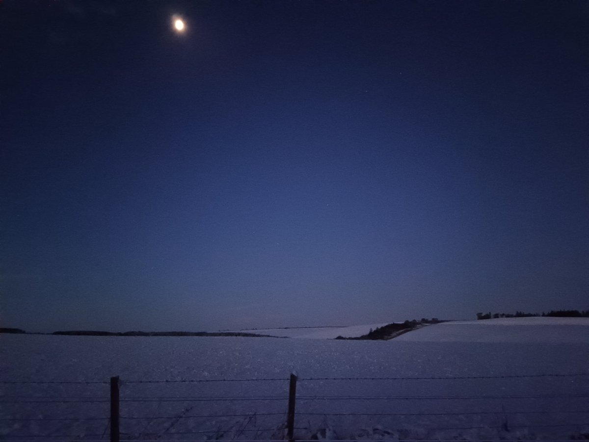 Emilio Pagani-Núñez tweet media