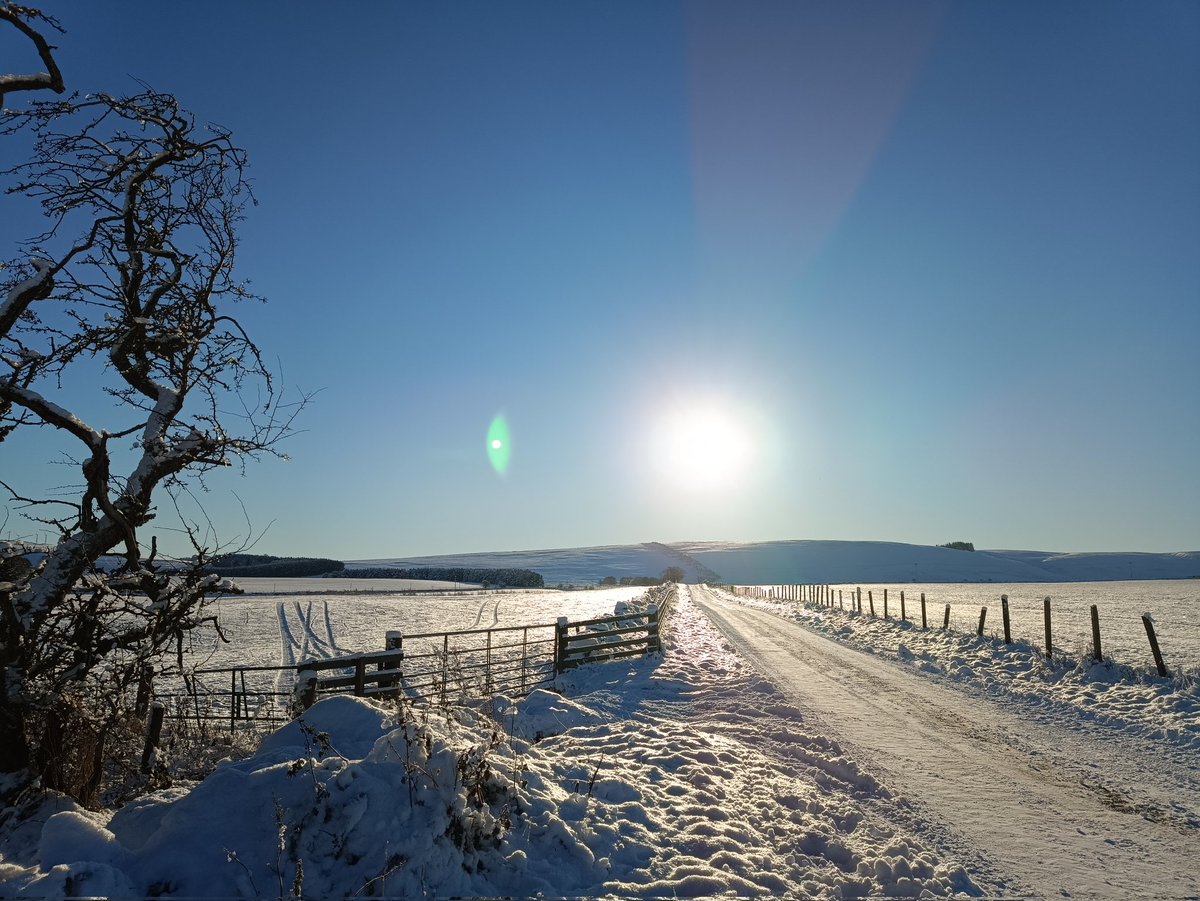 Emilio Pagani-Núñez tweet media