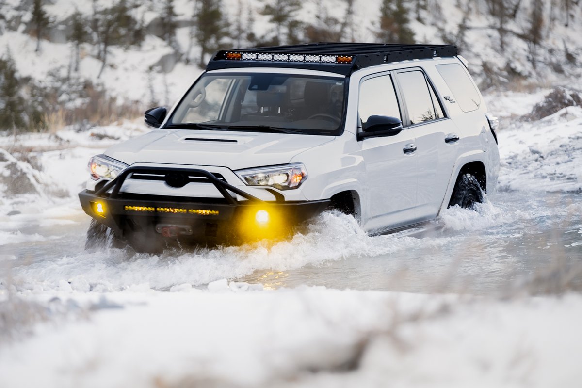 Cali Raised LED tweet media