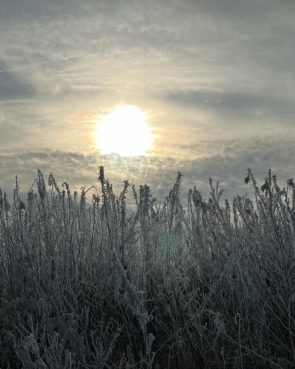 Edward Caudwell tweet media