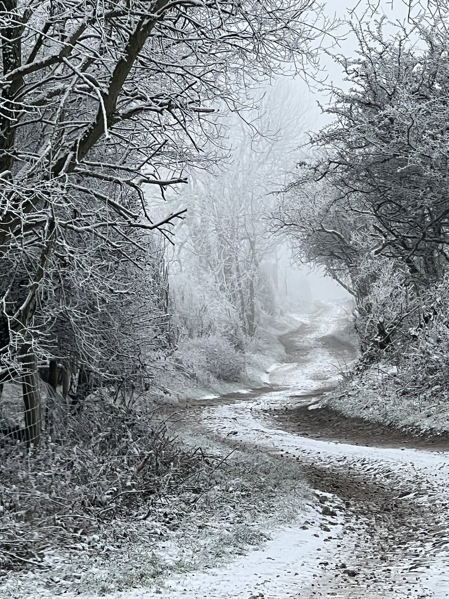 Edward Caudwell tweet media