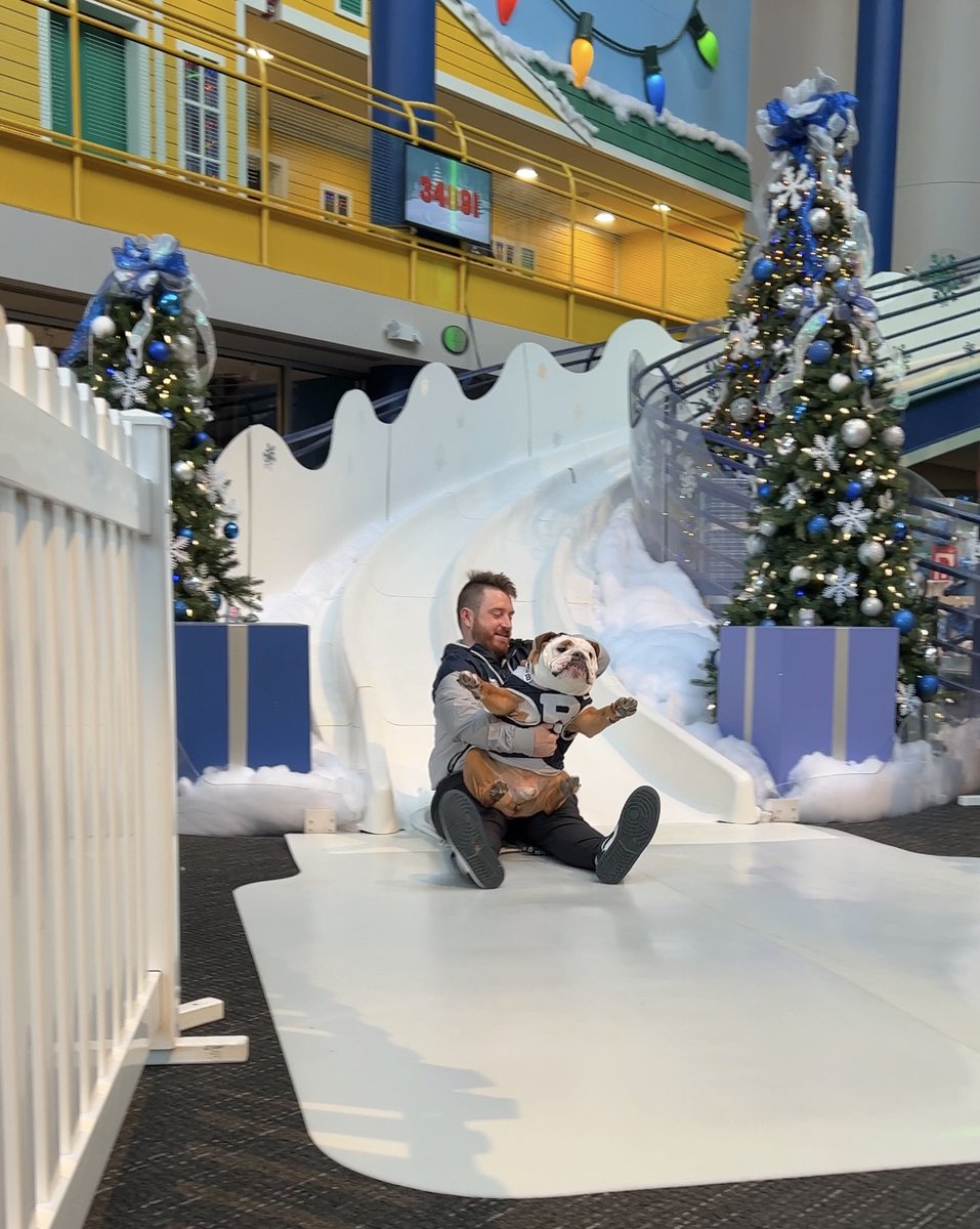 TCMIndy's tweet photo. PAWS UP! Nothing but love for the Yule Slide. https://t.co/k4ovO6RBfh