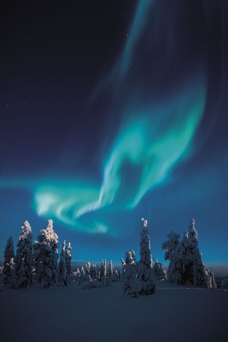 FtLauderdaleMag's tweet photo. #TravelTuesday ✈️- Long nights, spectacular lights and maybe even reindeer flights mark a winter trip to Finnish Lapland.
https://t.co/lvubVOQI0I
#travel #tuesday #december #lapland #worldtraveler #traveler #vacation #vacay #trip #baecation #baecay #family #trip https://t.co/3puRGsFnlO