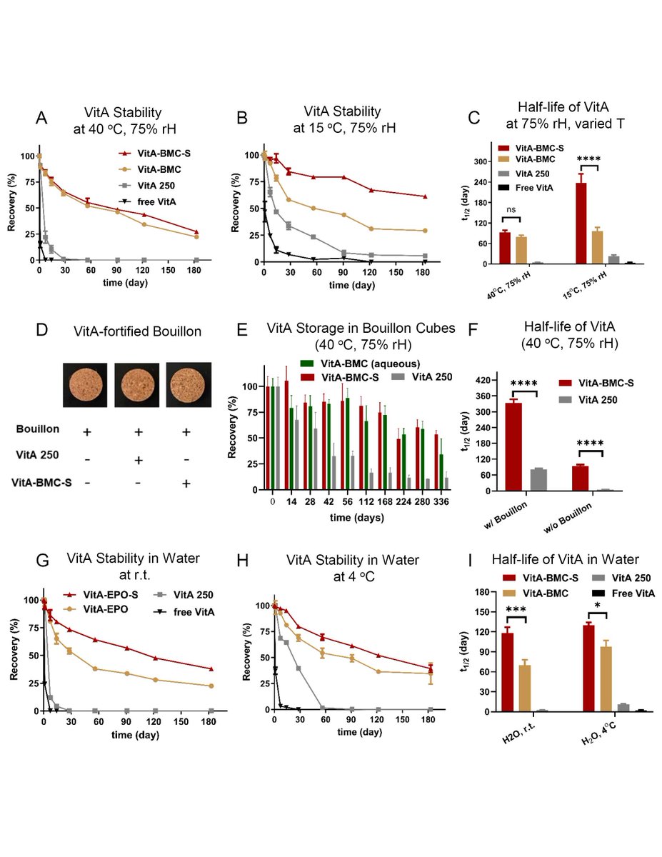 A study shows an encapsulation method for #vitamin A improves the nutrient’s stability during cooking and long-term storage while allowing it to be absorbed into the body, potentially helping to develop strategies against vitamin A deficiency. In PNAS: ow.ly/ZX1T50M2GIn
