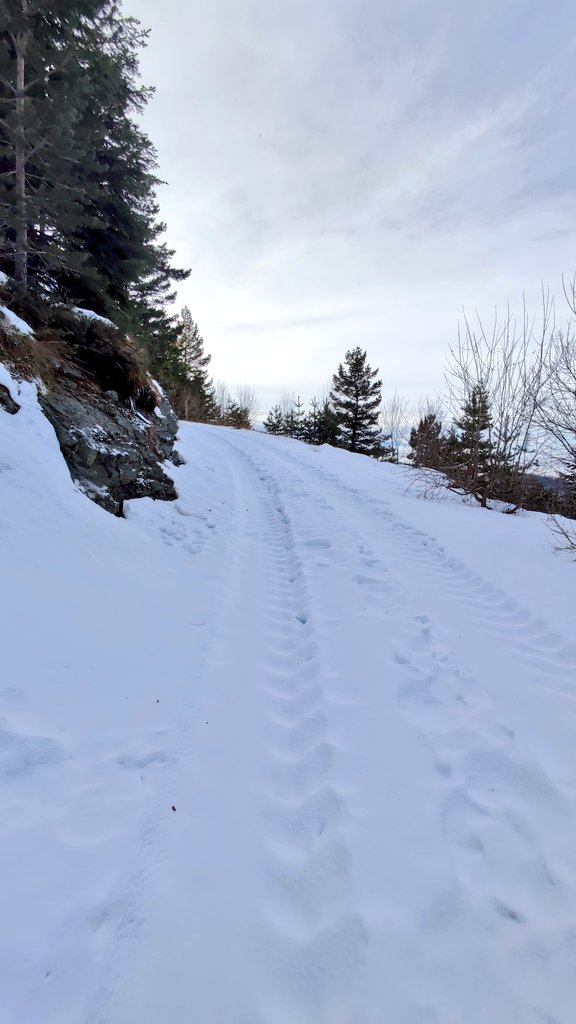 снеКче 🌨️🏔️