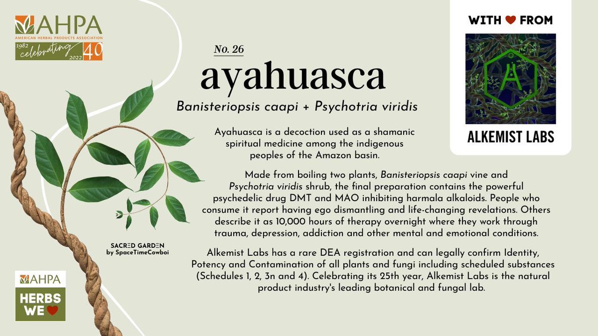 ElanSudberg's tweet photo. @AlkemistsLabs has a rare DEA registration to legally confirm Identity, Potency and Contamination of all plants and fungi including scheduled substances (1, 2, 3n and 4). #ayahuasca #Mentalhealth https://t.co/m84HEes8u5