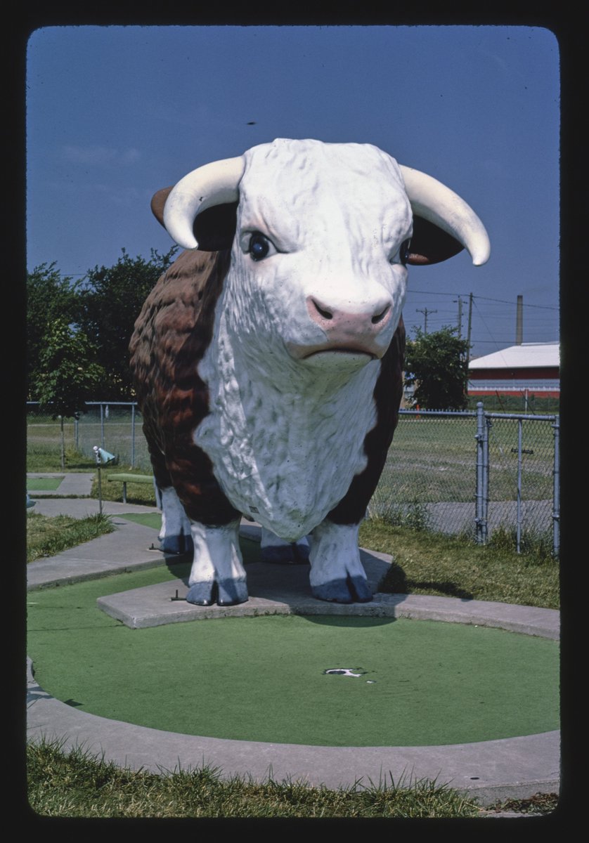 oldroadside's tweet photo. bull front view, fairway golf, 1700 como avenue, st. paul, minnesota, 1984 https://t.co/EcJtzvsgbM