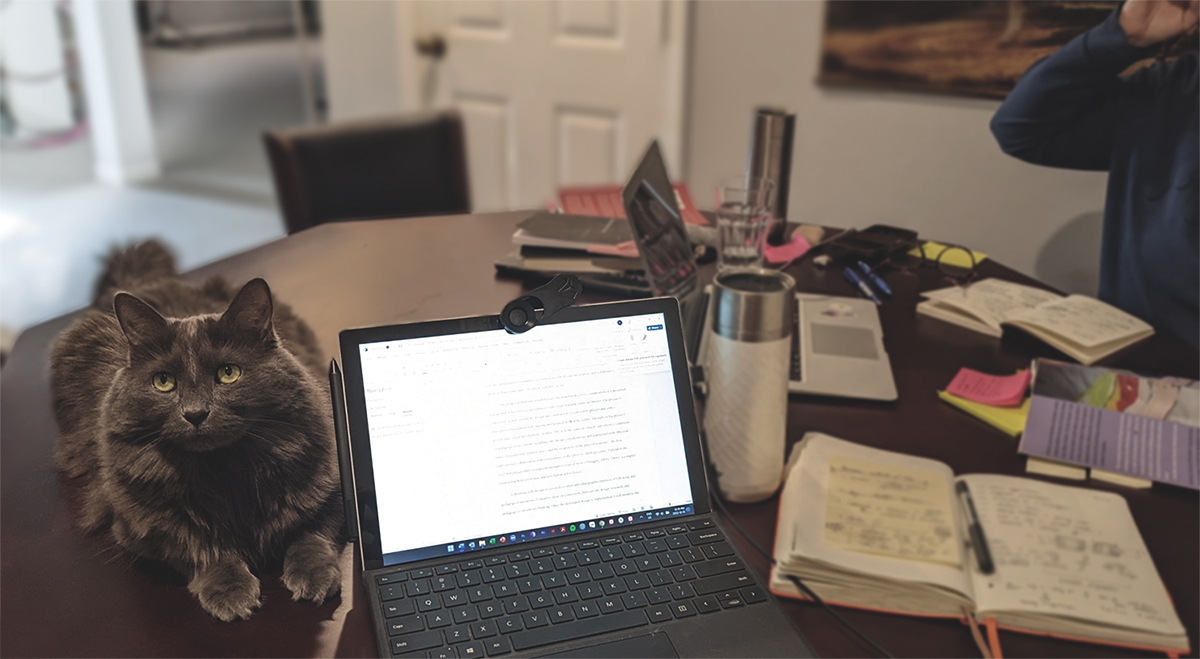 This week: writing retreat with @moemccullen and feline supervision keeping us on track #easilybribedthough